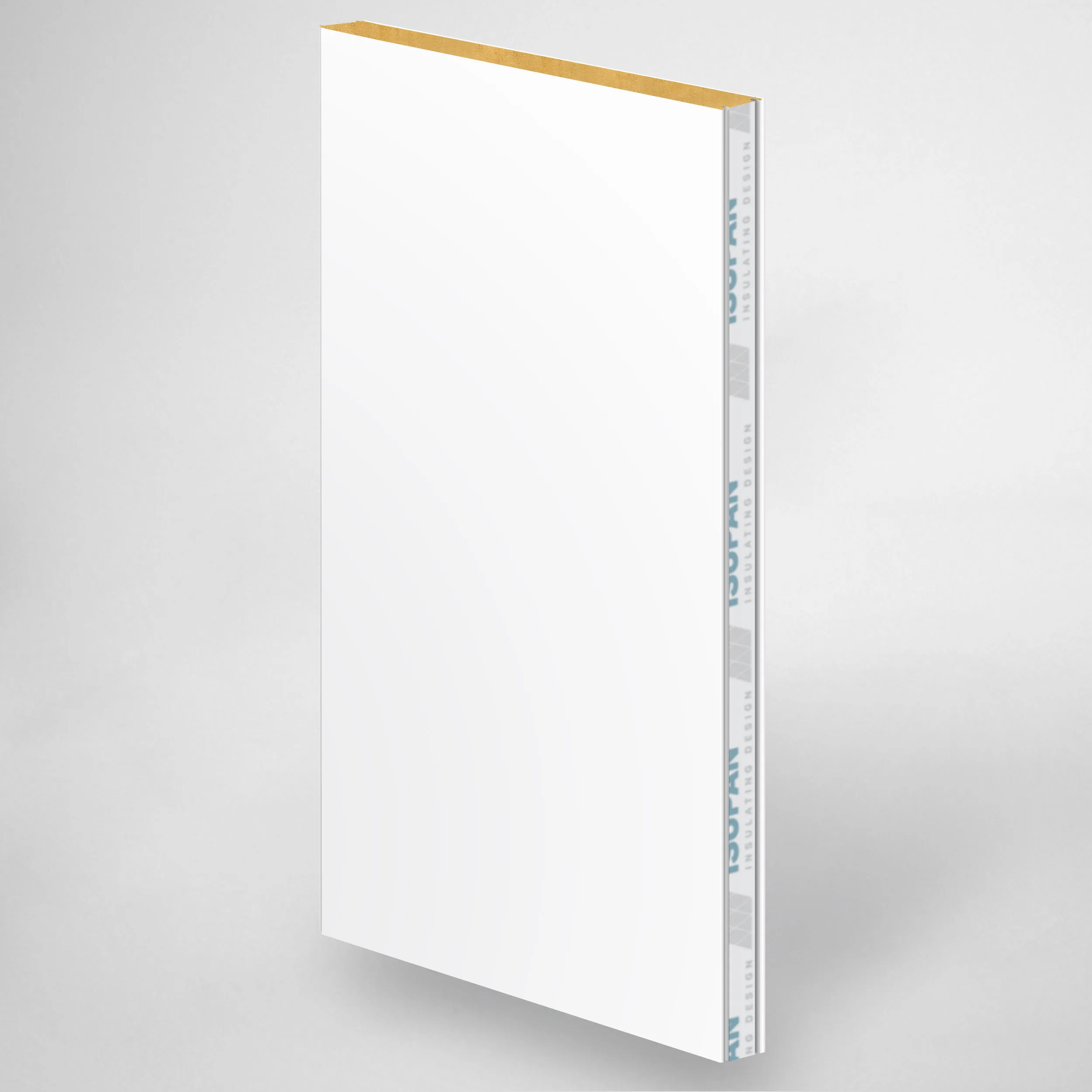 Flat Insulated Panels-2200mm Length, 100mm Thickness, 1000mm Width